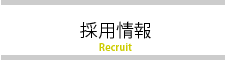 採用情報